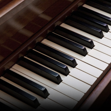 Keyboards & Synth